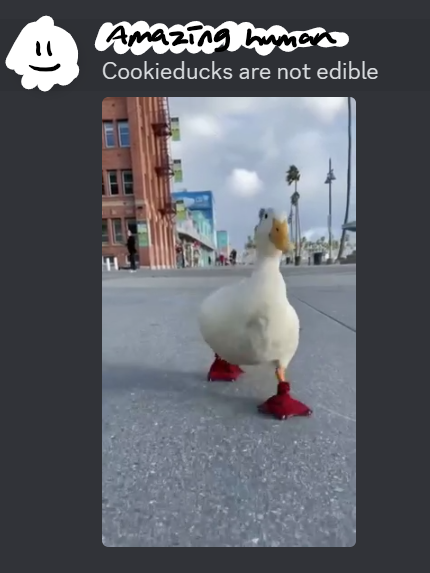 image of a conversation where someone says Cookieducks are edible